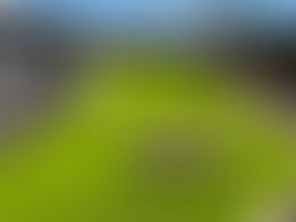 Discover the Benefits of Synthetic Turf for Your Outdoor Space