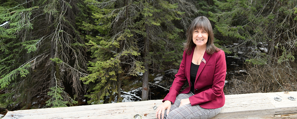 Kim Dailey HD 88 Banner.png