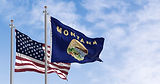 Montana and US Flag.jpeg