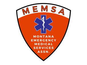 MEMSA  partnership