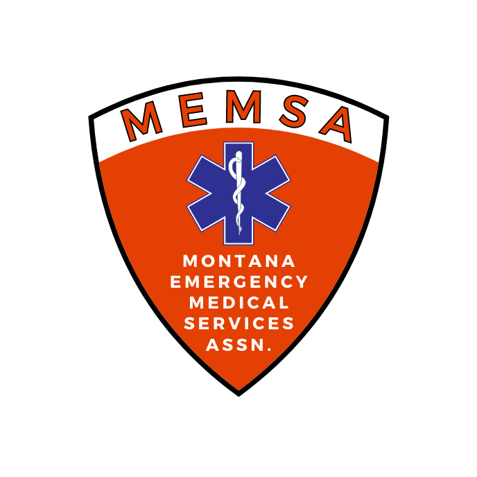MEMSA Logo