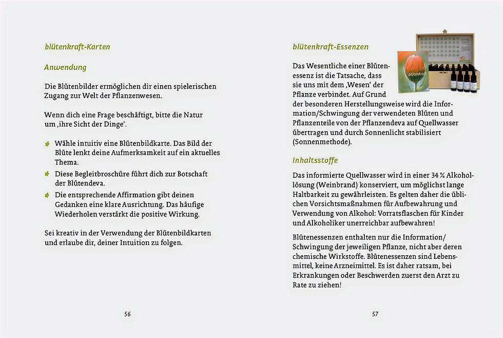 Miniaturbild: blütenkraft - Botschaften (Begleitbuch)