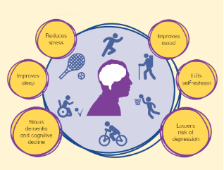 Impact of Physical Activity on the Mental Well-being of Canadian High School Students