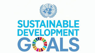 Introducing the Sustainable Development Goals (2/2)