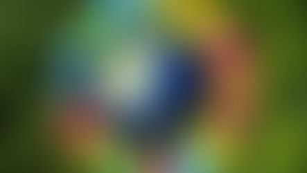 Introducing the Sustainable Development Goals (1/2)