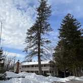 45f7-425e-85ef-07daa3ed72f3.jpeg