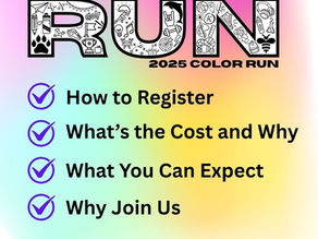Color Run 101
