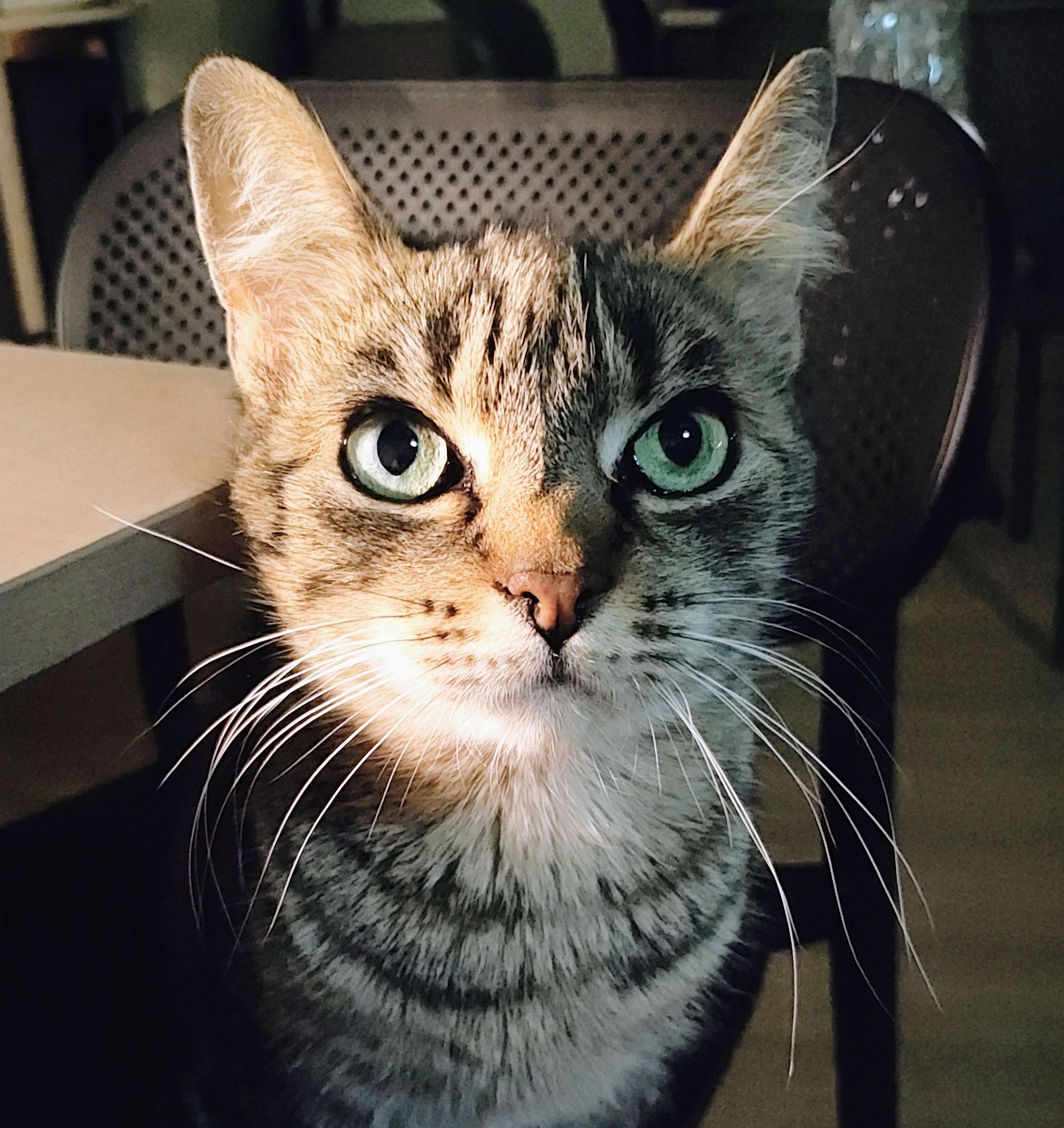 Meine Patenschaft Berlin Mitte