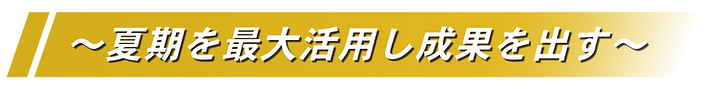 2025年5月LP用_成果を出す.png