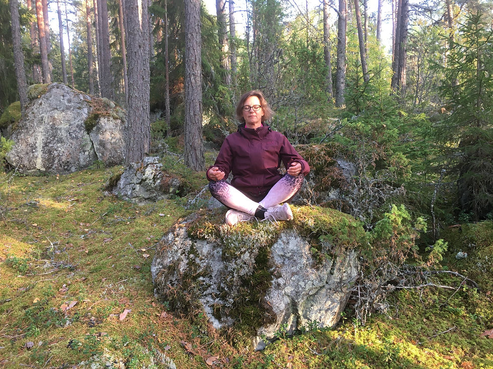 Itsemyötätunto – Meditaatiokurssi, 7/9