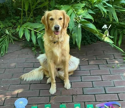 2021%2001%2030%20Boomer%20Cabo%20Scarlet