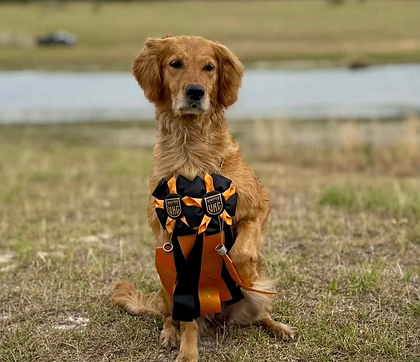 2021%2001%2030%20Boomer%20Cabo%20Scarlet