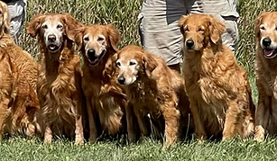 2022 09 03 Team Turbo GR Specialty_edited_edited_edited_edited.png