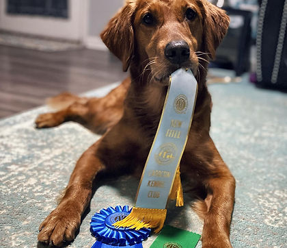 2021%2001%2030%20Boomer%20Cabo%20Scarlet