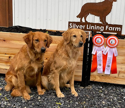 2021%2001%2030%20Boomer%20Cabo%20Scarlet