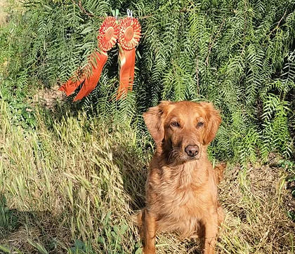 2021%2001%2030%20Boomer%20Cabo%20Scarlet