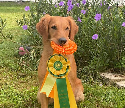 2021%2001%2030%20Boomer%20Cabo%20Scarlet