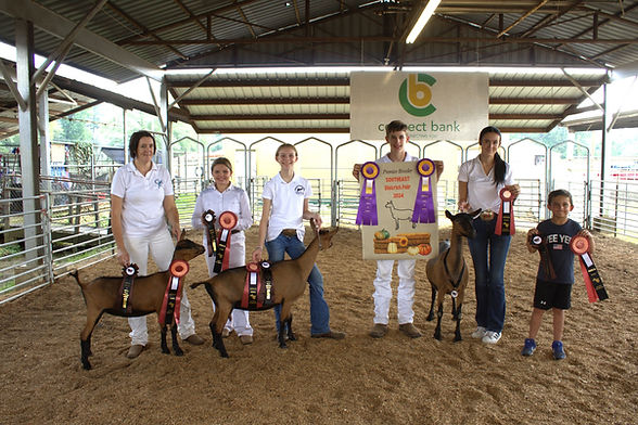 southwest district fair