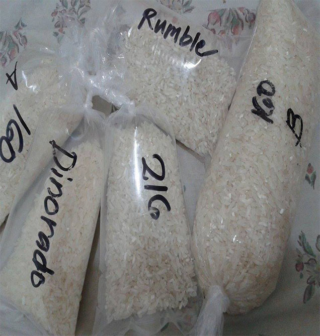 Rice