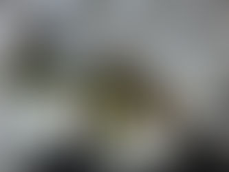 2026年もよろしくお願いいたします。