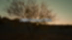 Website banner quick.00_00_01_20.Still001.jpg