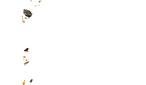 AF478E3E-7901-4C8D-ABC7-E2B517C10568_edi