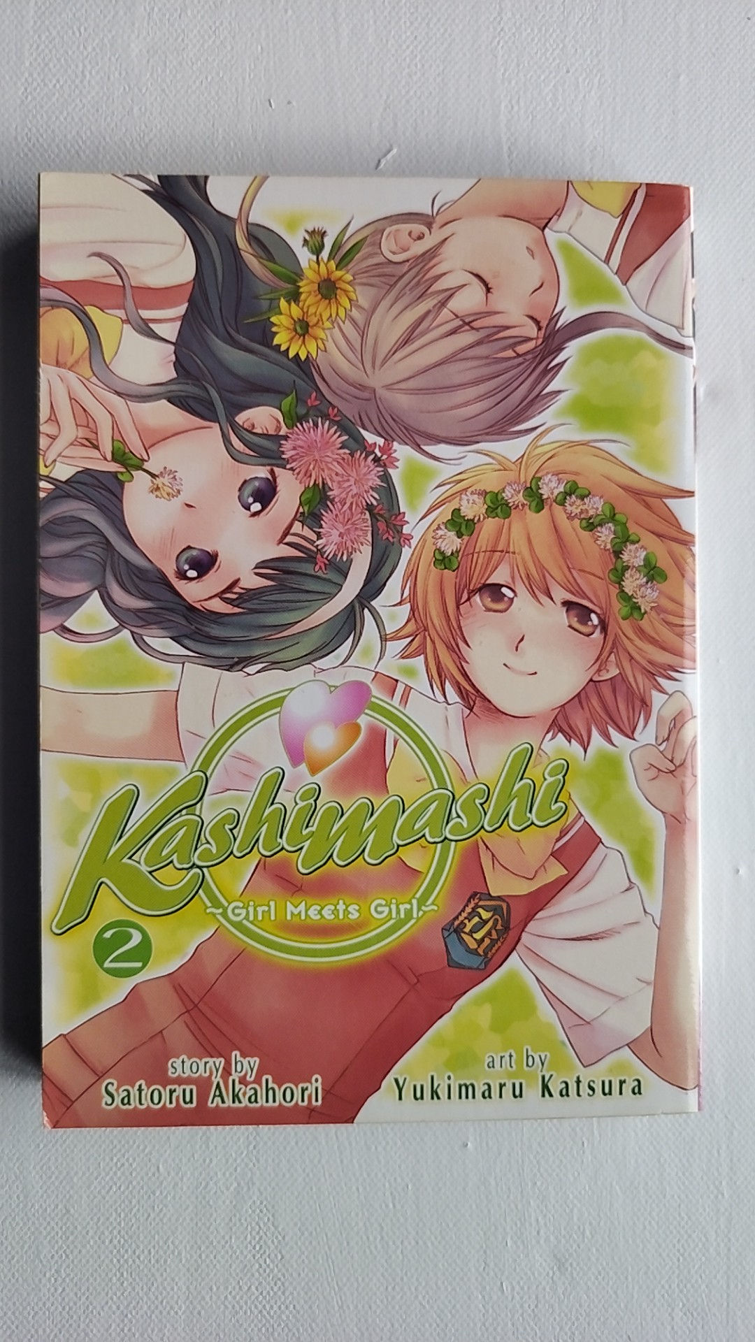 Kashimashi Girl Meets Girl, Manga Book 2
