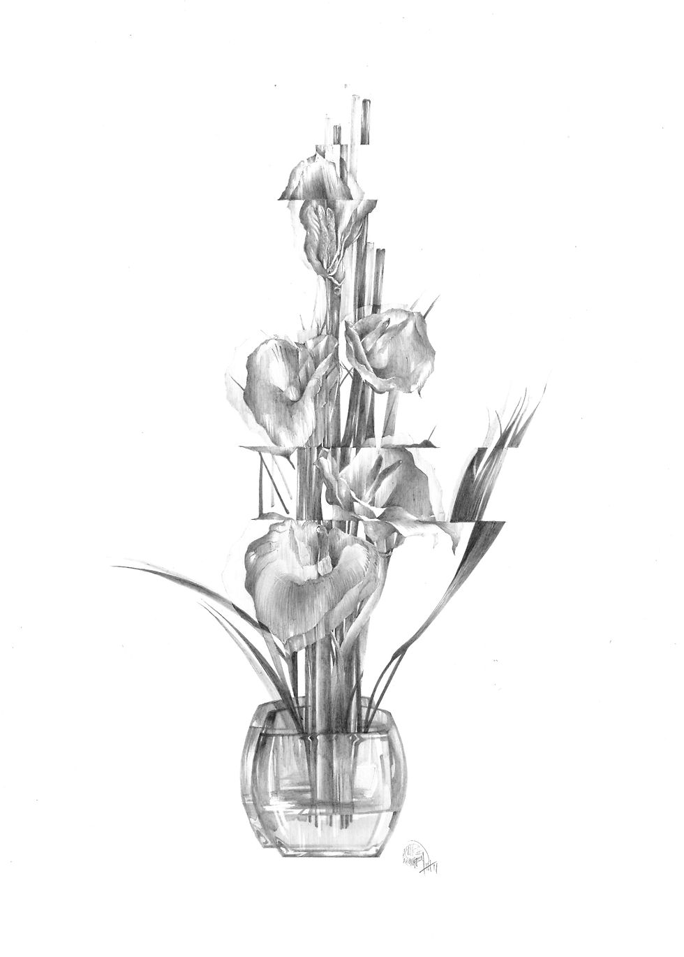 Disrupted Flowers