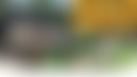 【元朗好去處2023】打卡景點、餐廳美食、隱世Cafe、玩樂、中醫痛症養生館、一日遊行程推介