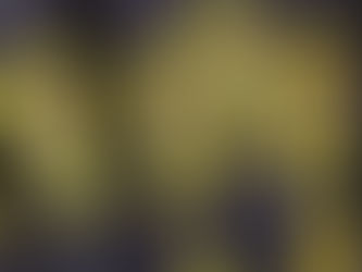 Could Cincinnati's CIRV Program Help Louisville Address Gang Violence?