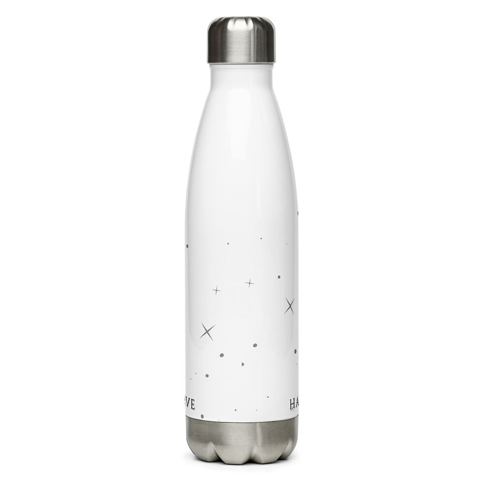 Thumbnail: "One Day" Stainless Steel Water Bottle