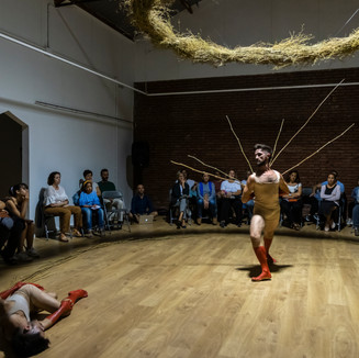 _DSC6533.jpeg