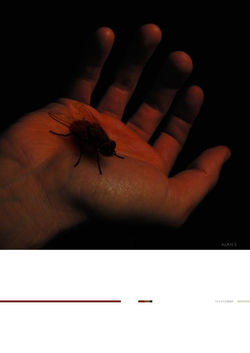 Alan Souquet - WORLD WIDE CUT