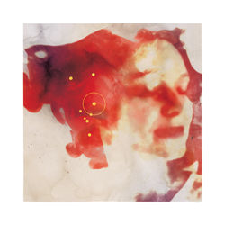 Alan Souquet - WORLD WIDE CUT