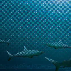 Alan Souquet - WORLD WIDE CUT