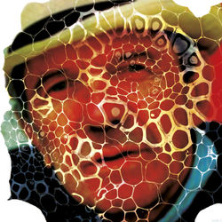 Alan Souquet - WORLD WIDE CUT