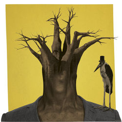 Alan Souquet - WORLD WIDE CUT