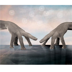 Alan Souquet - WORLD WIDE CUT