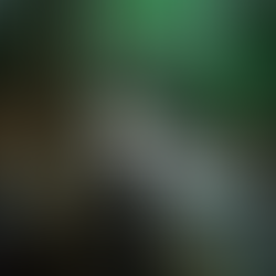 Where the Work Begins: Nature, Process, and Practice. A Canadian Artist Inspired by Nature in Muskoka, Ontario.