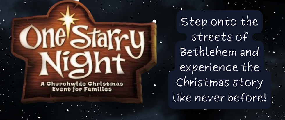 Copy of starrynightflyer (1).png