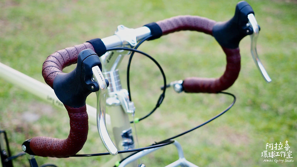 SURLY LHT