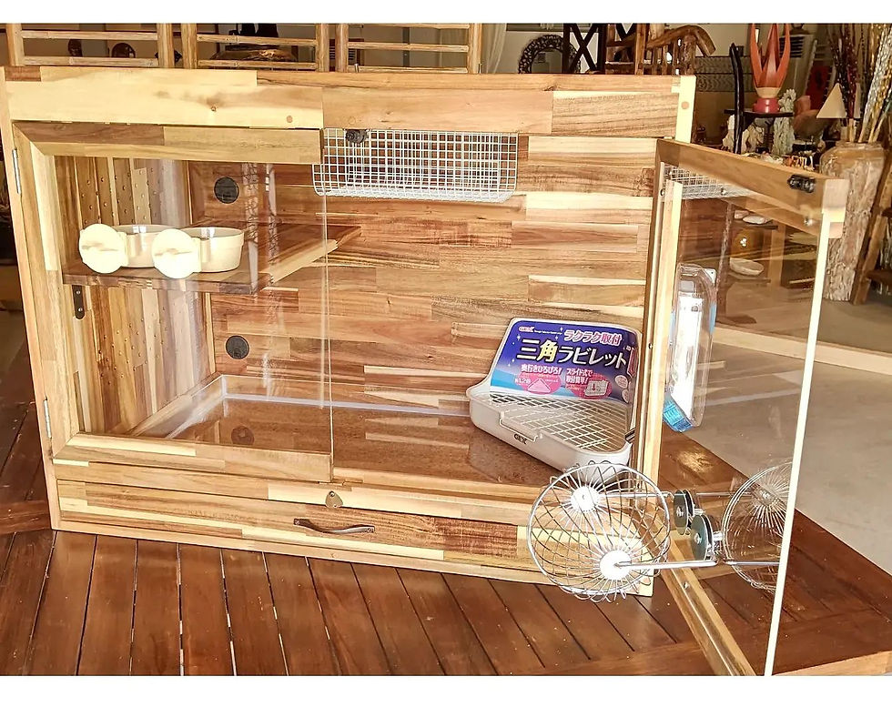 サムネイル： アカシアケージ