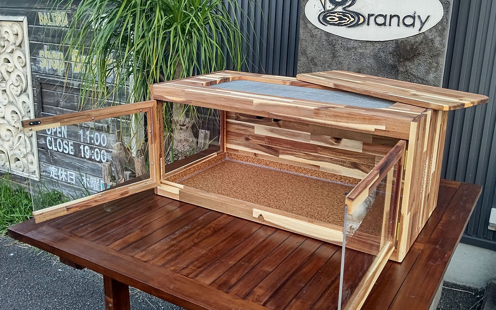 サムネイル： アカシアケージ