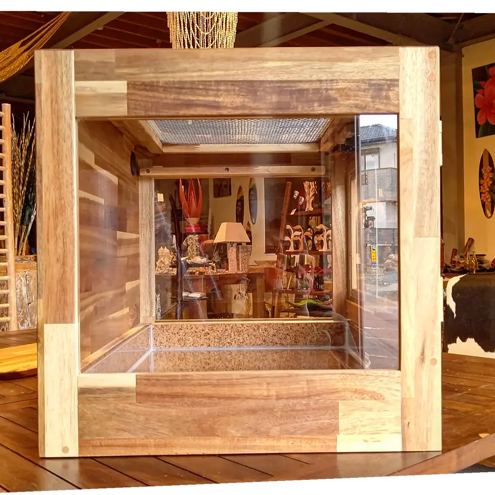 サムネイル： アカシアケージ