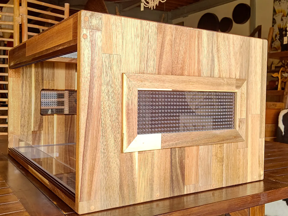 サムネイル： アカシアケージ