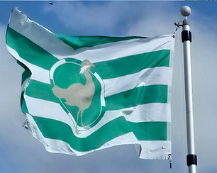 Wiltshire flag.png