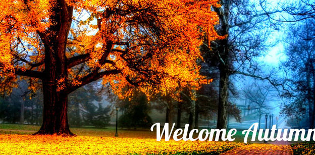 Seasons Change!