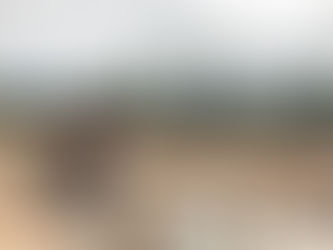 Aménagement paysager