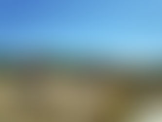 Récolement chantier de paysage