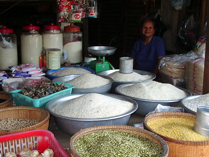 Dorfmarkt am Mekong, Dutzende Reissorten